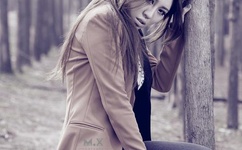 鲍勃大盗中文版